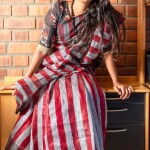 PURE LINEN YARN DYE SAREE
